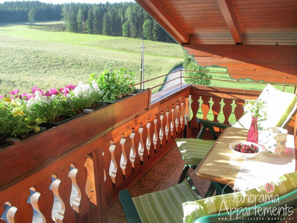 Panorama Appartement Ramsau am Dachstein Kültér fotó