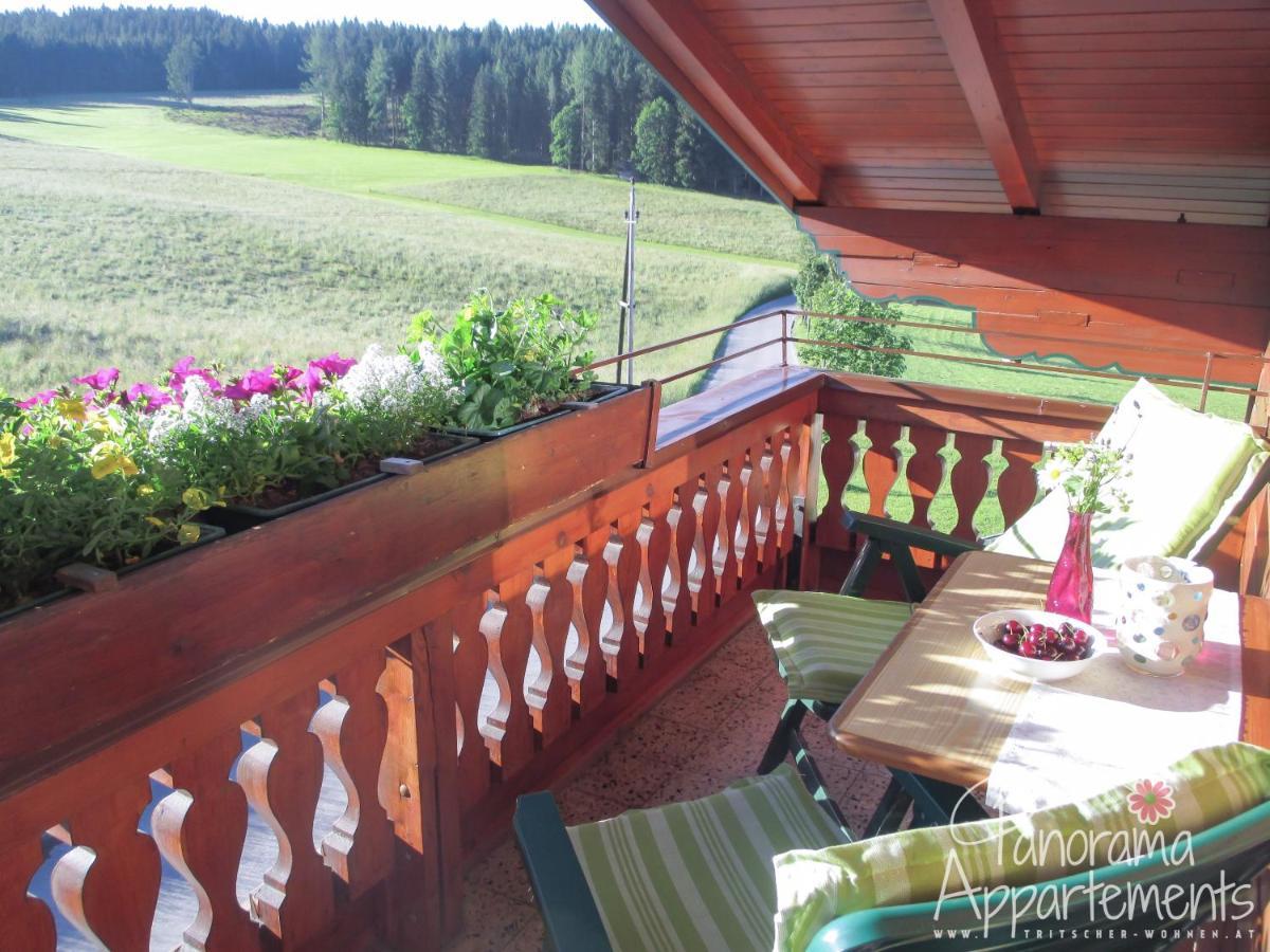 Panorama Appartement Ramsau am Dachstein Kültér fotó