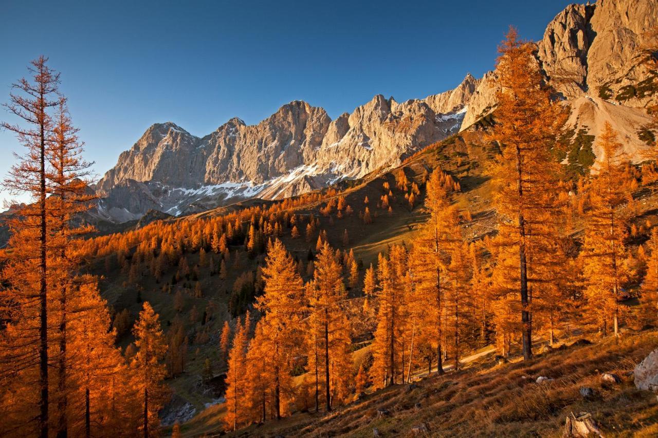 Panorama Appartement Ramsau am Dachstein Kültér fotó