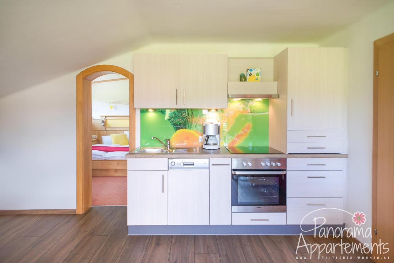 Panorama Appartement Ramsau am Dachstein Kültér fotó